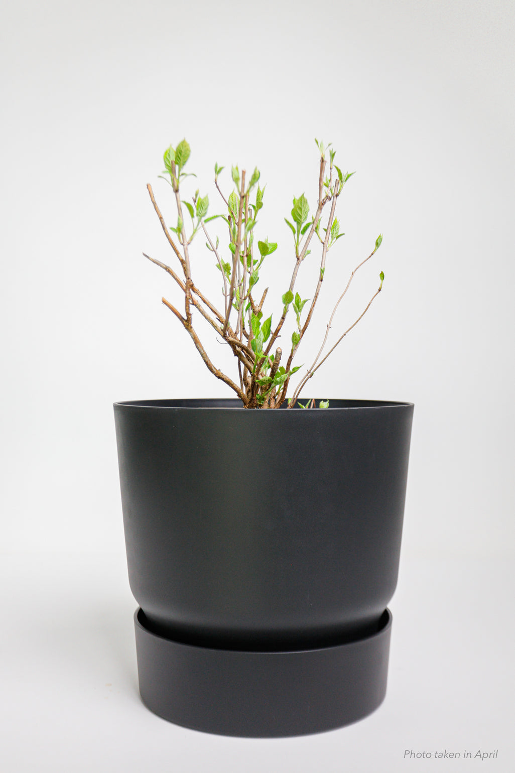 products/SotoProductShootLowQ-2720.jpg